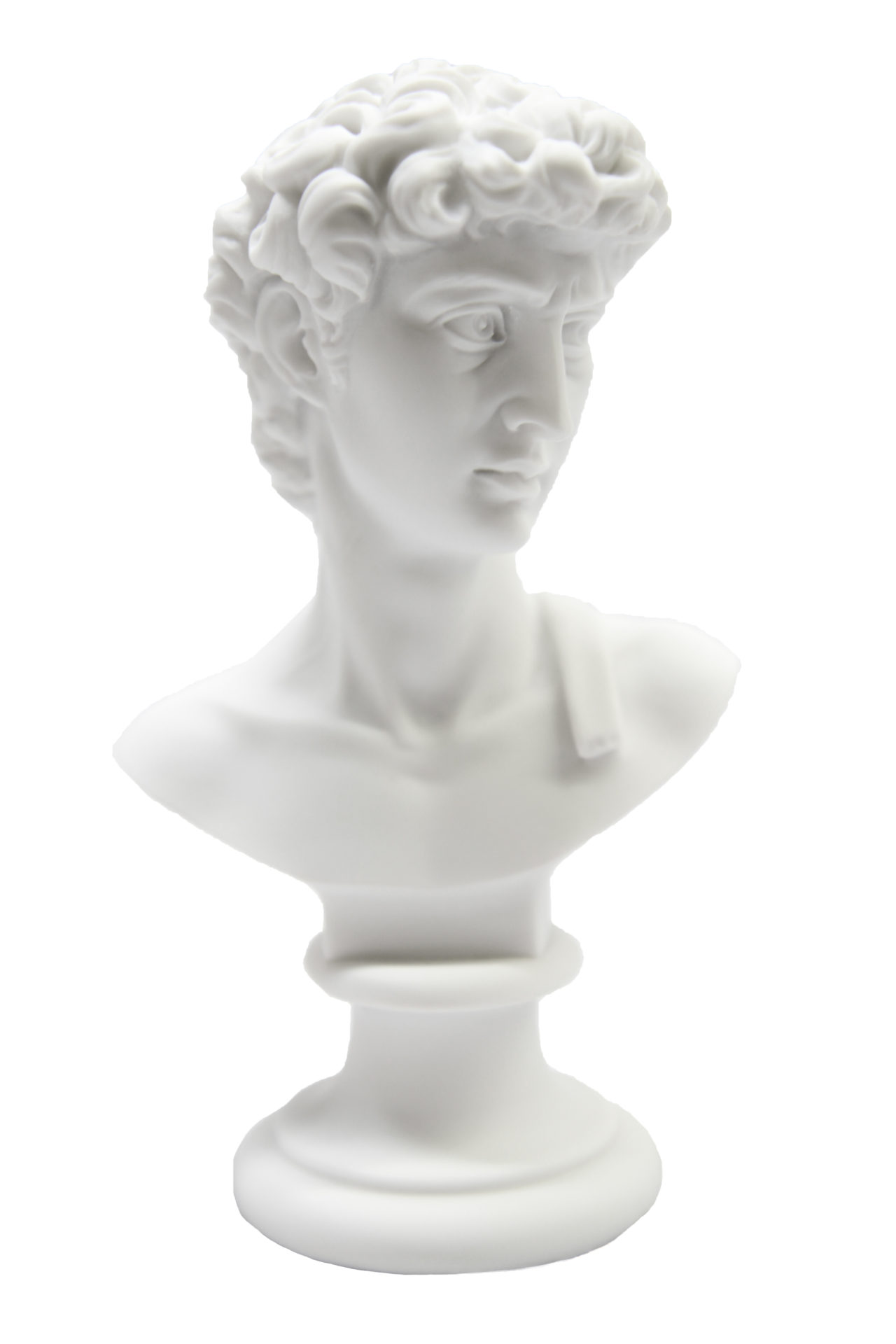 6.5" Bust of David